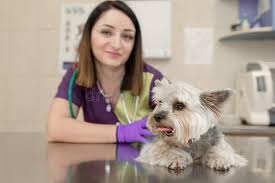 Dr. Dhoenika